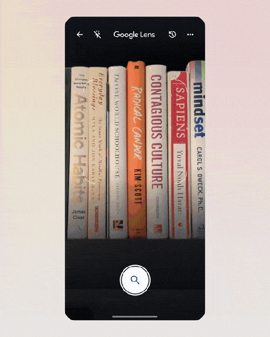 AI Mode image recognition