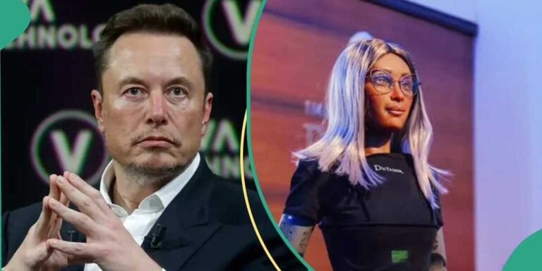 Mika, la fidanzata virtuale: il sogno di Elon Musk è ora realtà.